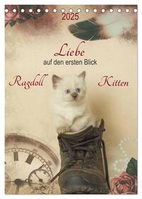 Liebe auf den ersten Blick . Ragdoll Kitten (Tischkalender 2025 DIN A5 hoch), CALVENDO Monatskalender