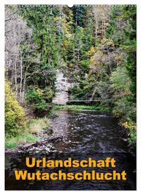 Urlandschaft Wutachschlucht (Wandkalender 2025 DIN A2 hoch), CALVENDO Monatskalender