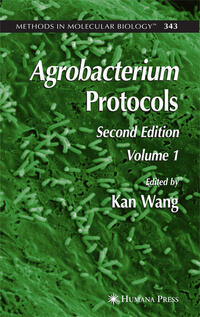 Agrobacterium Protocols