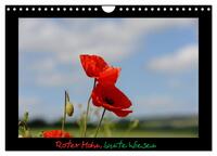 Roter Mohn, bunte Wiesen (Wandkalender 2025 DIN A4 quer), CALVENDO Monatskalender