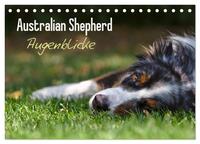 Australian Shepherd - Augenblicke (Tischkalender 2025 DIN A5 quer), CALVENDO Monatskalender