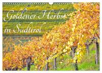 Goldener Herbst in Südtirol (Wandkalender 2025 DIN A3 quer), CALVENDO Monatskalender