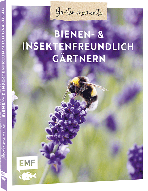 Gartenmomente: Bienen- und Insektenfreundlich gärtnern