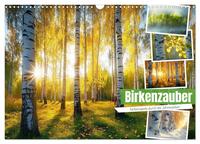 Birkenzauber (Wandkalender 2025 DIN A3 quer), CALVENDO Monatskalender