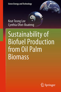 Sustainability of Biofuel Production from Oil Palm Biomass