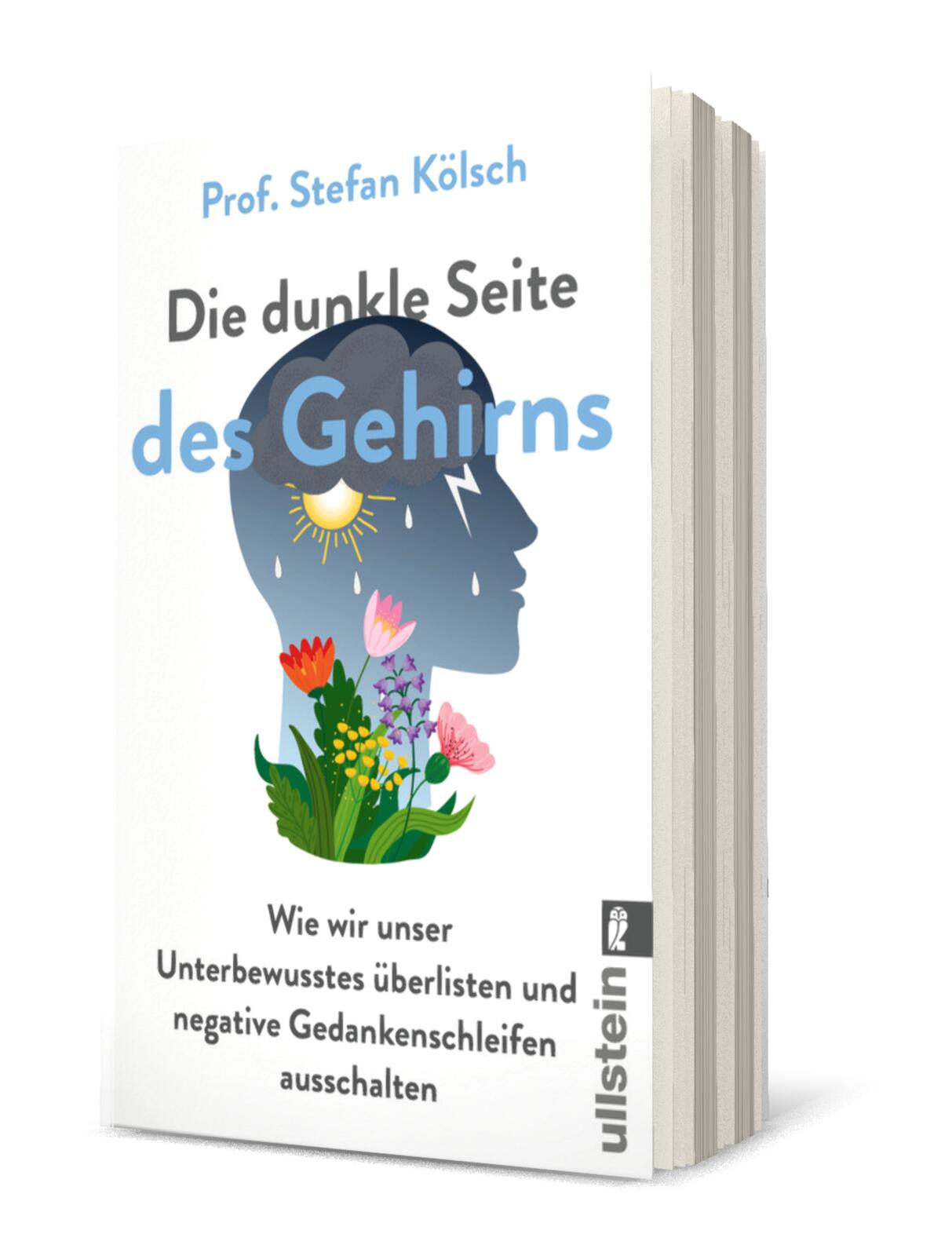 Die dunkle Seite des Gehirns