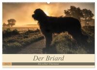 Der Briard 2025 - Ein echter Charmeur (Wandkalender 2025 DIN A2 quer), CALVENDO Monatskalender