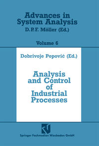 Analysis and Control of Industrial Processes