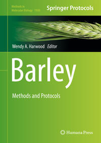 Barley