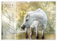 Pferde - Anmut, Eleganz, Magie (Wandkalender 2025 DIN A3 quer), CALVENDO Monatskalender