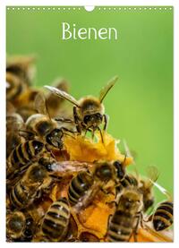 Bienen (Wandkalender 2025 DIN A3 hoch), CALVENDO Monatskalender