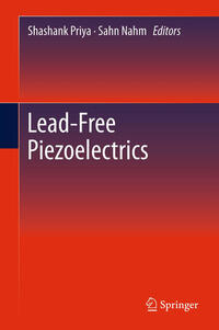 Lead-Free Piezoelectrics