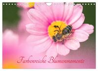 Farbenreiche Blumenmomente (Wandkalender 2025 DIN A4 quer), CALVENDO Monatskalender