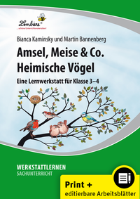 Amsel, Meise & Co: Heimische Vögel