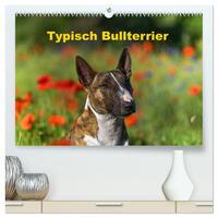 Typisch Bullterrier (hochwertiger Premium Wandkalender 2025 DIN A2 quer), Kunstdruck in Hochglanz