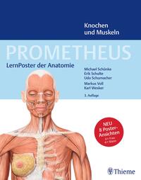 PROMETHEUS LernPoster der Anatomie, Knochen und Muskeln