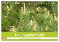 Naturwunder Wald (Tischkalender 2025 DIN A5 quer), CALVENDO Monatskalender