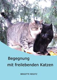 Begegnung mit freilebenden Katzen