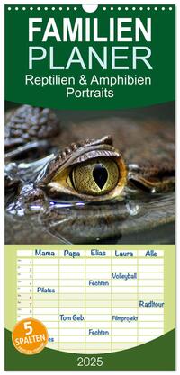 Familienplaner 2025 - Reptilien & Amphibien Portraits mit 5 Spalten (Wandkalender, 21 x 45 cm) CALVENDO