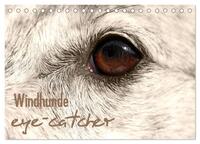 Windhunde eye-catcher (Tischkalender 2025 DIN A5 quer), CALVENDO Monatskalender