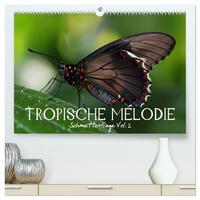 Tropische Melodie - Schmetterlinge Vol.2 (hochwertiger Premium Wandkalender 2025 DIN A2 quer), Kunstdruck in Hochglanz