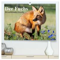 Der Fuchs. Bezaubernder Geselle (hochwertiger Premium Wandkalender 2025 DIN A2 quer), Kunstdruck in Hochglanz