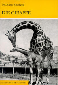 Die Giraffe