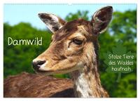 Damwild - stolze Tiere des Waldes hautnah (Wandkalender 2025 DIN A2 quer), CALVENDO Monatskalender