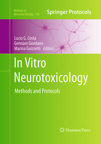 In Vitro Neurotoxicology