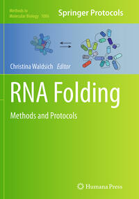 RNA Folding