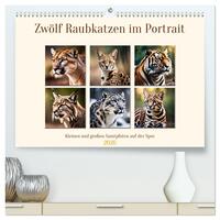 Zwölf Raubkatzen im Portrait (hochwertiger Premium Wandkalender 2026 DIN A2 quer), Kunstdruck in Hochglanz