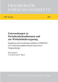 Untersuchungen zu Partialoxidationsflammen und zur Wirbelschichtvergasung