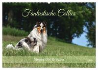 Fantastische Collies - Sieger der Herzen (Wandkalender 2025 DIN A2 quer), CALVENDO Monatskalender