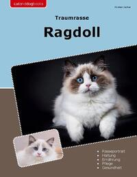 Traumrasse Ragdoll