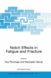 Notch Effects in Fatigue and Fracture