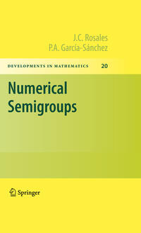 Numerical Semigroups