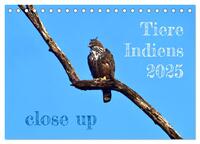 Tiere Indiens close up (Tischkalender 2025 DIN A5 quer), CALVENDO Monatskalender