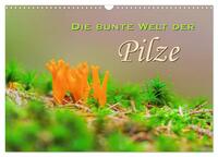 Die bunte Welt der Pilze (Wandkalender 2025 DIN A3 quer), CALVENDO Monatskalender