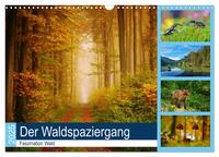 Der Waldspaziergang (Wandkalender 2025 DIN A3 quer), CALVENDO Monatskalender