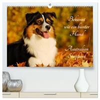 Bekannt wie ein bunter Hund. Australian Shepherd (hochwertiger Premium Wandkalender 2025 DIN A2 quer), Kunstdruck in Hochglanz