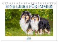 Eine Liebe für immer - Collies (Tischkalender 2025 DIN A5 quer), CALVENDO Monatskalender