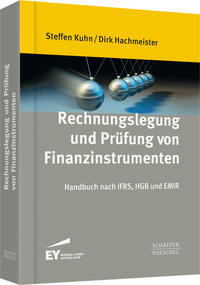 Rechnungslegung und Prüfung von Finanzinstrumenten