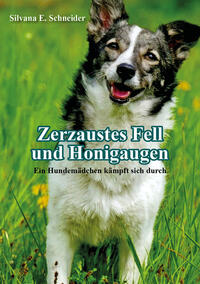 Zerzaustes Fell und Honigaugen