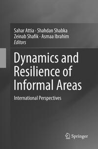 Dynamics and Resilience of Informal Areas