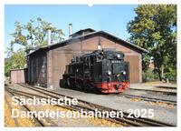 Sächsische Dampfeisenbahnen 2025 (Wandkalender 2025 DIN A2 quer), CALVENDO Monatskalender