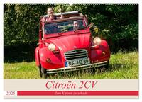 Citroën 2 CV - Zum Kippen zu schade (Wandkalender 2025 DIN A2 quer), CALVENDO Monatskalender