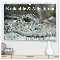 Krokodile & Alligatoren (hochwertiger Premium Wandkalender 2025 DIN A2 quer), Kunstdruck in Hochglanz