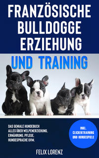 Französische Bulldogge Erziehung und Training