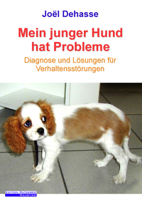 Mein junger Hund hat Probleme