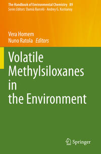 Volatile Methylsiloxanes in the Environment